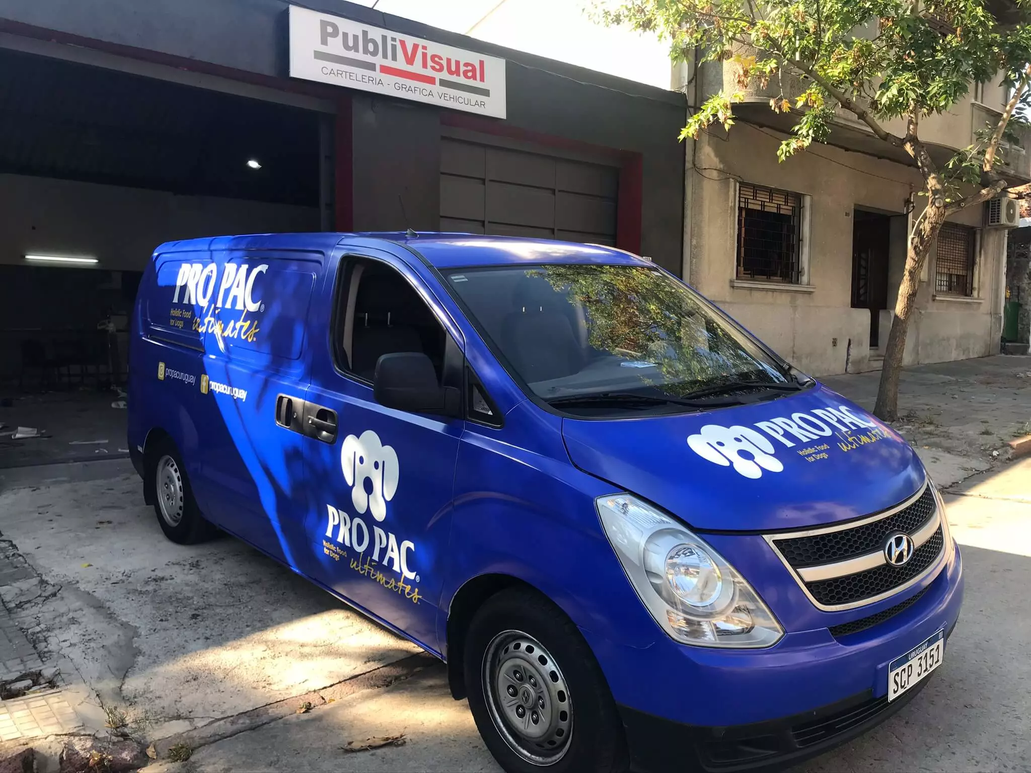 Ploteo de Vinilo de Corte